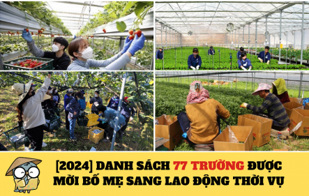 DANH SÁCH 77 TRƯỜNG ĐƯỢC MỜI BỐ MẸ SANG LAO ĐỘNG THỜI VỤ – MỚI NHẤT 2024